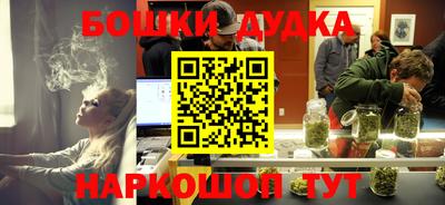 индика Будённовск