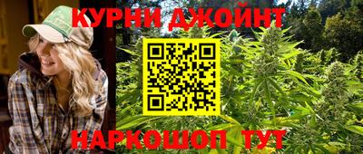 индика Будённовск