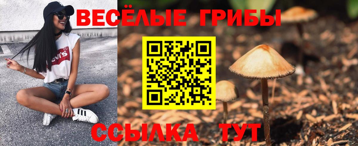 Галлюциногенные грибы Psilocybe  Псилоцибиновые грибы прущие грибы  Вход с VPN  Комсомольск-на-Амуре 