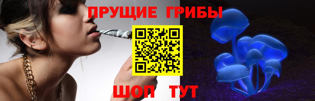Псилоцибиновые грибы Psilocybe Комсомольск-на-Амуре